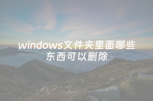 windows文件夹里面哪些东西可以删除（windows文件夹里面哪些东西可以删除不了）