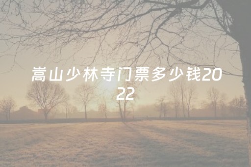 嵩山少林寺门票多少钱2022（嵩山少林寺门票多少钱2022年）
