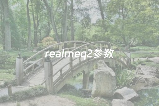 realmeq2参数（realmeq2参数屏幕多大）