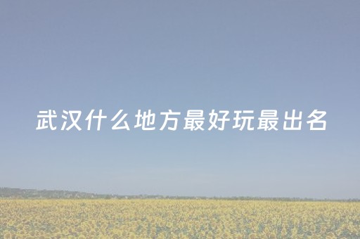 武汉什么地方最好玩最出名（武汉那个地方比较好玩）