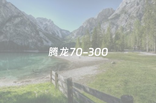 腾龙70-300（腾龙70300z卡口测评）