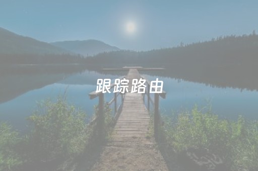 跟踪路由（跟踪路由中间有些地址不显示）