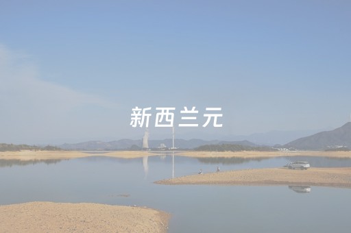 新西兰元（新西兰元今日汇率走势）