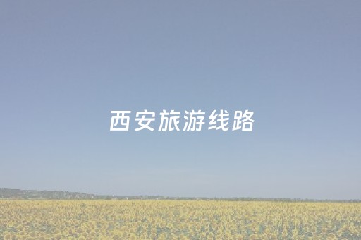 西安旅游线路（西安旅游线路设计方案）