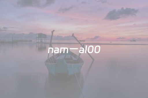 nam一al00（NAM一AL00是5G手机吗）