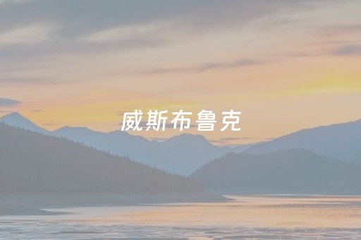威斯布鲁克（威斯布鲁克数据）
