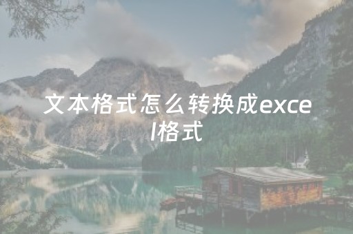 文本格式怎么转换成excel格式（文本格式怎么转换成excel格式分列）