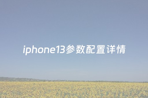 iphone13参数配置详情（iphone 13参数配置详细参数）