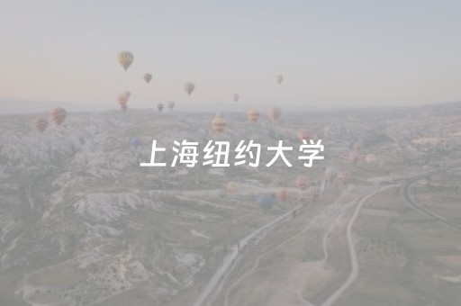 上海纽约大学（上海纽约大学硕士申请）
