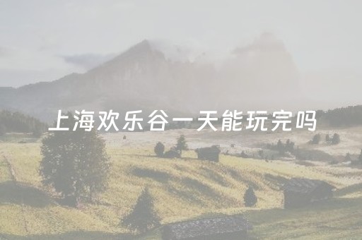 上海欢乐谷一天能玩完吗（上海欢乐谷一天能玩完吗多少钱）