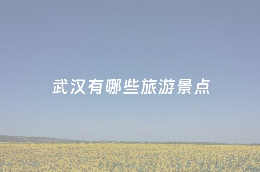 武汉有哪些旅游景点（武汉旅游的景点有哪些）