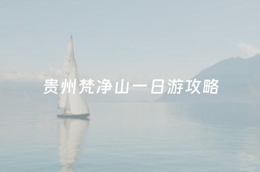 贵州梵净山一日游攻略（贵州梵净山一日游票价门票多少钱）