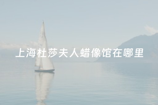 上海杜莎夫人蜡像馆在哪里（上海杜莎夫人蜡像馆多少钱门票）