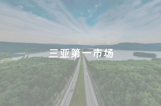 三亚第一市场（三亚第一市场怎么样）