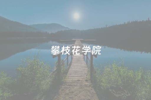 攀枝花学院（攀枝花学院
班子成员）