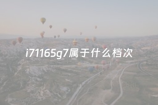 i71165g7属于什么档次（i71165g7属于什么档次和i71065）
