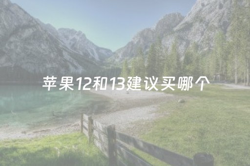 苹果12和13建议买哪个（苹果12和13建议买哪个手机）