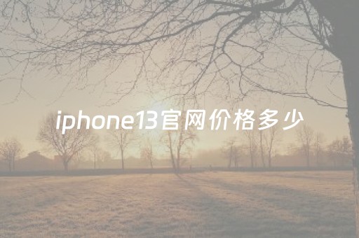 iphone13官网价格多少（苹果iphone13官网价格）