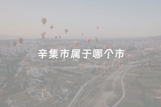 辛集市属于哪个市（辛集市属于哪个市场监管局）