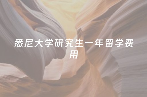 悉尼大学研究生一年留学费用（考研难还是出国读研难）