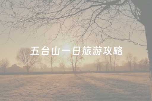 五台山一日旅游攻略（五台山一日游攻略自助游攻略）