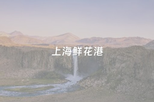上海鲜花港（上海鲜花港门票多少钱）