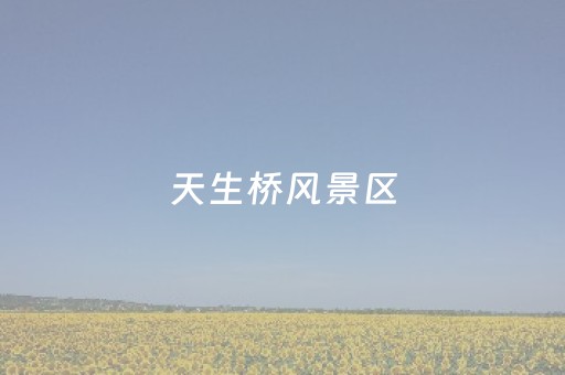 天生桥风景区（武隆天生桥风景区）