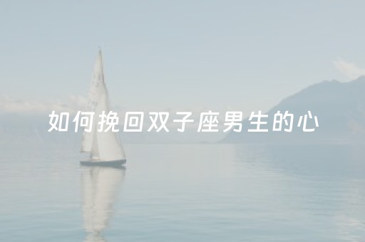 如何挽回双子座男生的心（如何挽回双子座男生的心思）