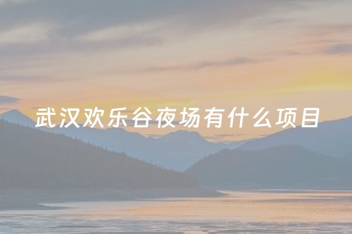 武汉欢乐谷夜场有什么项目（武汉欢乐谷夜场有什么项目不开）
