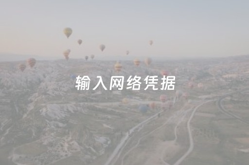输入网络凭据（输入网络凭据的用户名和密码是什么）
