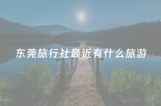 东莞旅行社最近有什么旅游（东莞旅行社报价表）
