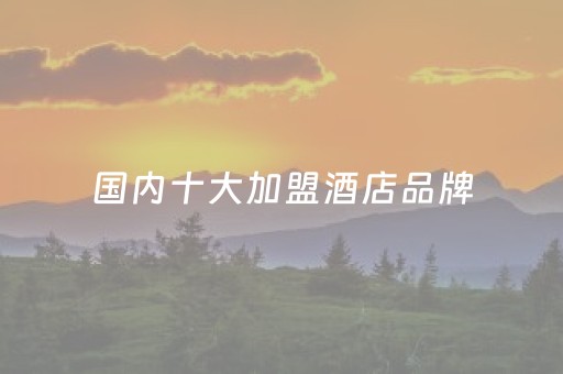 国内十大加盟酒店品牌（国内加盟酒店品牌排行）