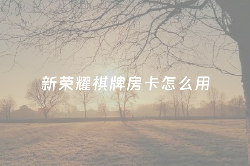 新荣耀棋牌房卡怎么用（新荣耀棋牌有挂吗）