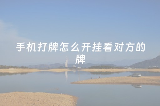 手机打牌怎么开挂看对方的牌（如何在手机上打牌开挂）