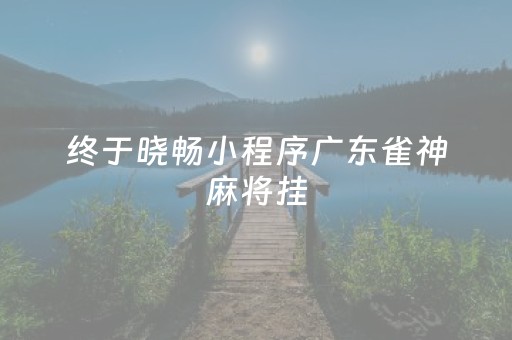 终于晓畅小程序广东雀神麻将挂（小程序雀神广东雀神麻将挂）