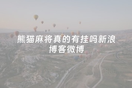熊猫麻将真的有挂吗新浪博客微博（终于知道熊猫麻将到底有没有挂）