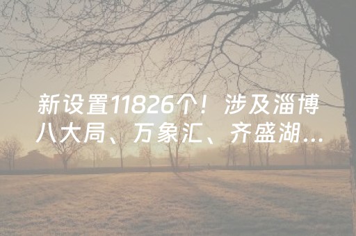 新设置11826个！涉及淄博八大局、万象汇、齐盛湖……