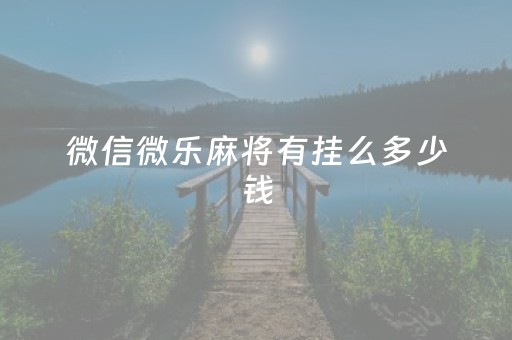 微信微乐麻将有挂么多少钱（手机微乐麻将有挂吗）