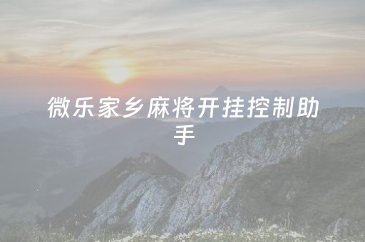 微乐家乡麻将开挂控制助手（微乐家乡麻将有开挂的吗）