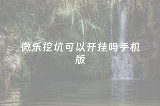 微乐挖坑可以开挂吗手机版（微乐挖坑可以开挂吗手机版游戏）