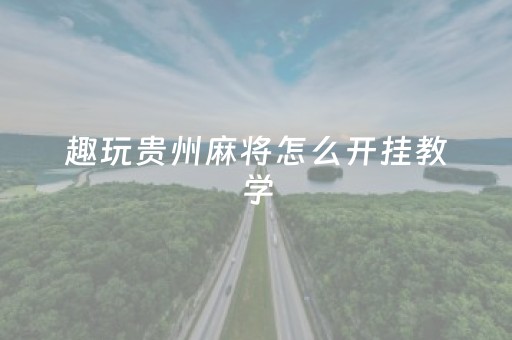 趣玩贵州麻将怎么开挂教学（贵州麻将小程序）