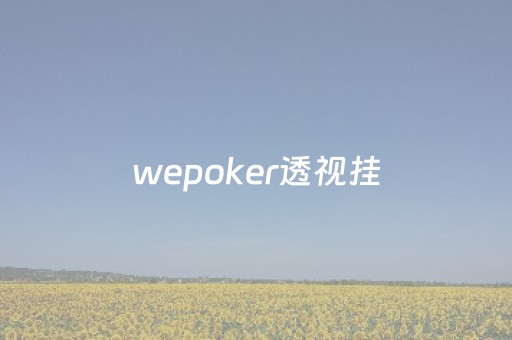 wepoker透视挂（wepoker透视挂挂购买）