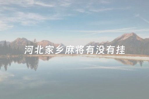 河北家乡麻将有没有挂（河北家乡麻将亲友圈怎么开挂）