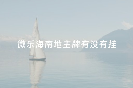 微乐海南地主牌有没有挂（微乐地主辅助神器）