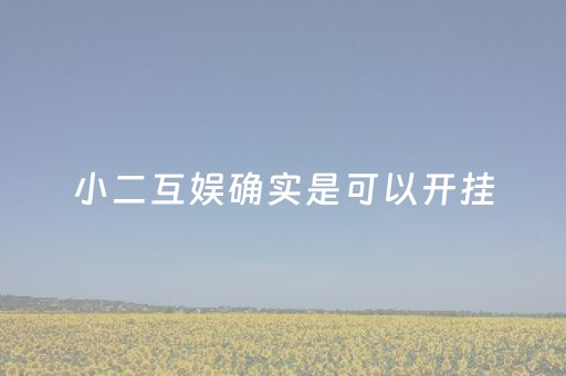 小二互娱确实是可以开挂（小二是什么）