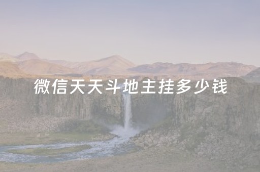 微信天天斗地主挂多少钱（微信天天斗地主挂免费）