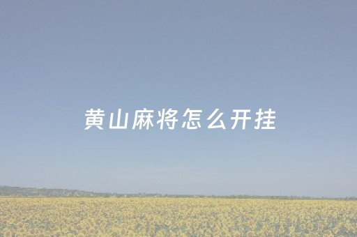 黄山麻将怎么开挂（黄山麻将怎么打不开）
