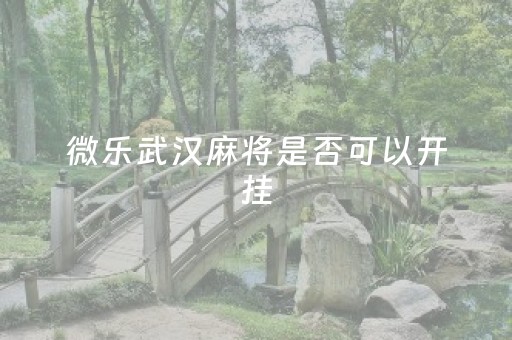 微乐武汉麻将是否可以开挂（微乐麻将开挂是怎么回事）