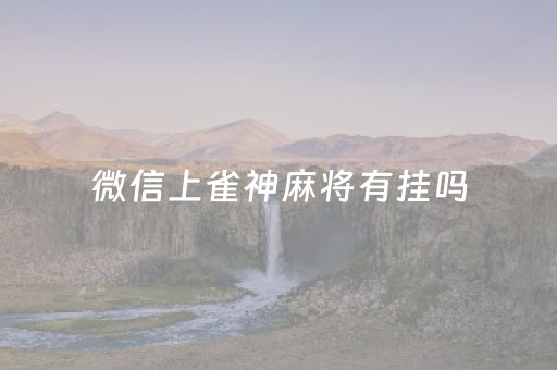 微信上雀神麻将有挂吗（微信里的雀神麻将有没有挂）