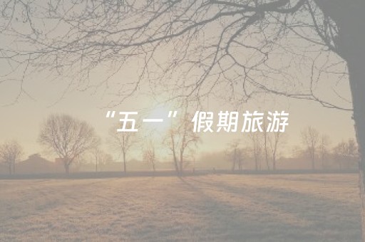“五一”假期旅游，这个市场火了！订单量增长151%